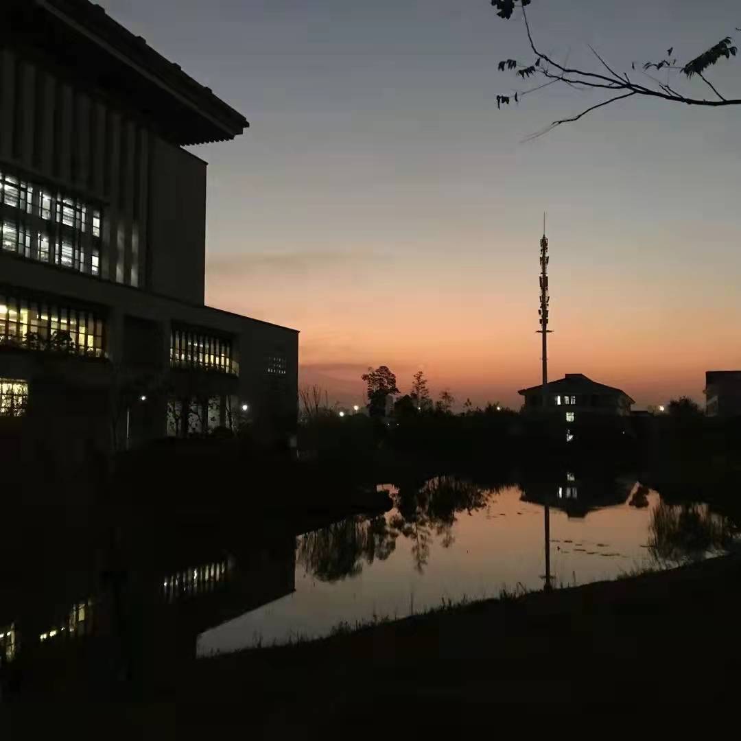 早上好